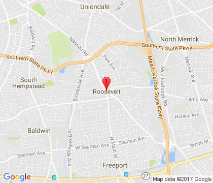 logo-image - roosevelt-ny